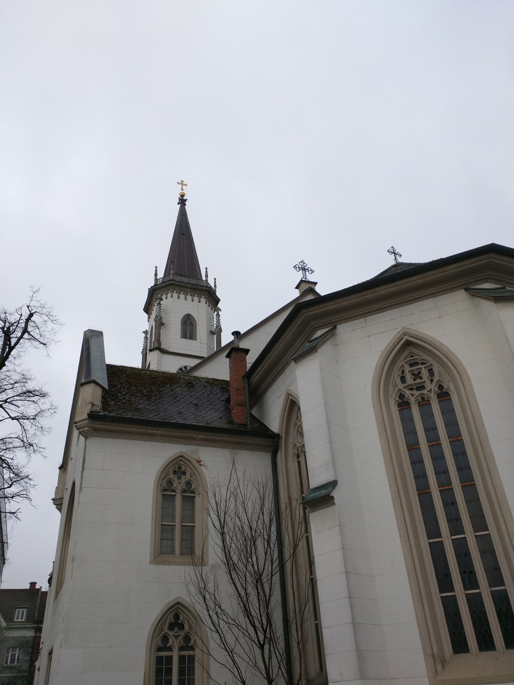 IMG_20160303_104926[1]